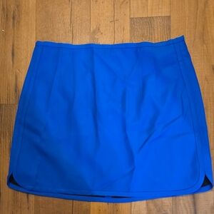 Zara Vibrant Blue A-Line Skirt